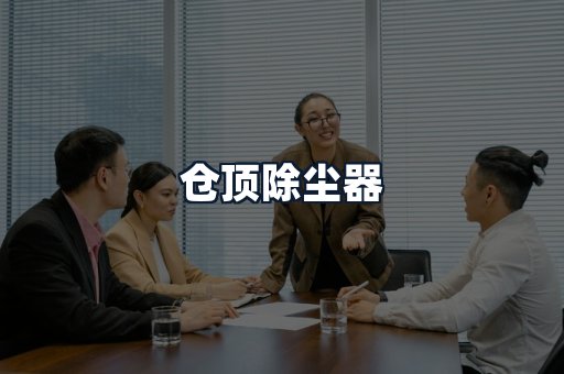 仓顶除尘器
